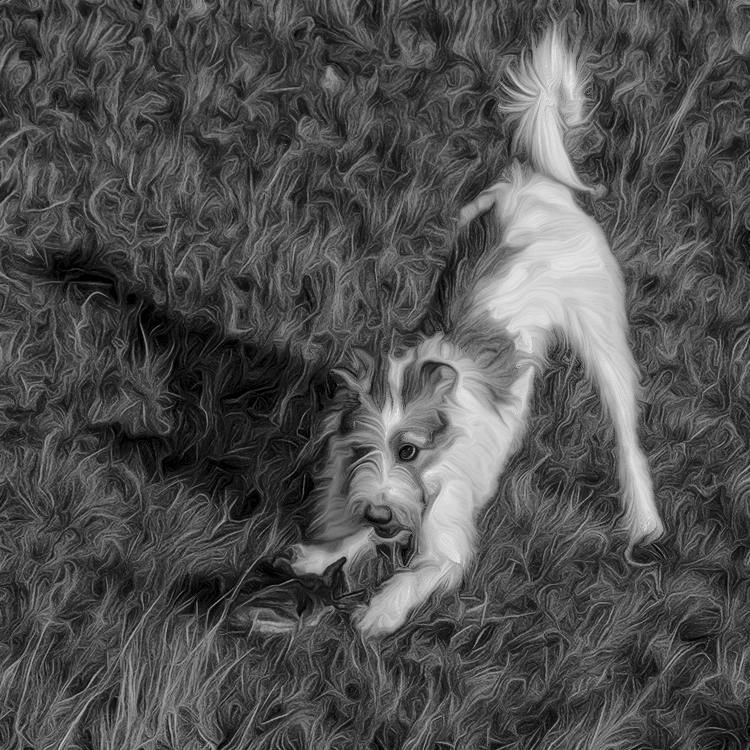 001 IMG_2737 Kopie.jpg